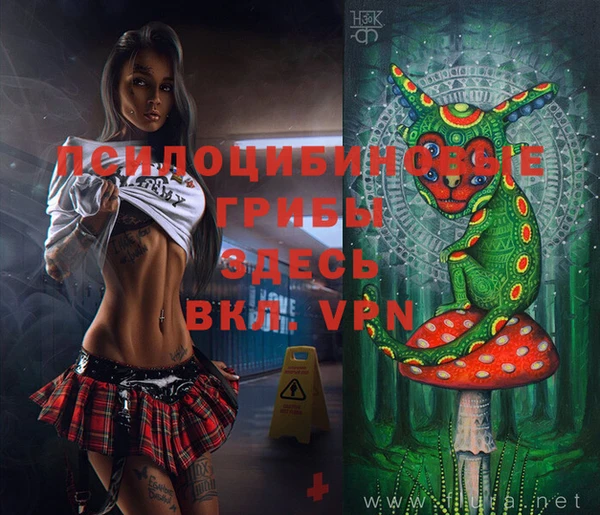 мефедрон Богородицк