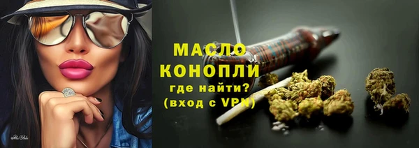 дмт Богородск