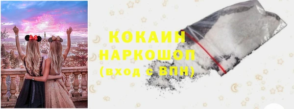 дмт Богородск