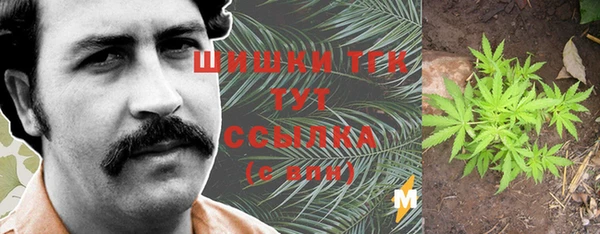 дмт Богородск