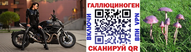 Псилоцибиновые грибы Cubensis  Дмитров 